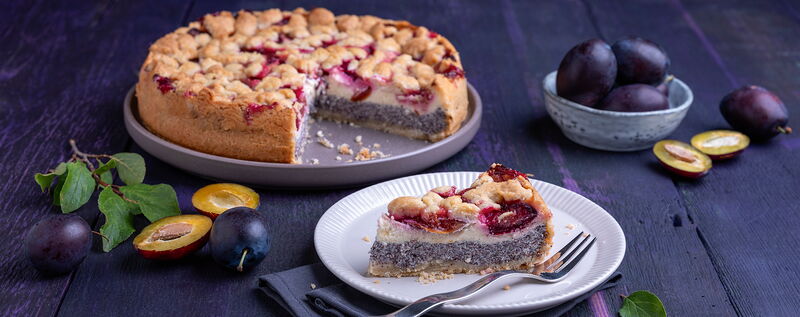 5 24 Kaese Mohn Kuchen Mit Zwetschgen Und Streuseln 1920x760px 48b01ebb