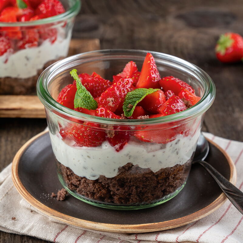 Schichtdessert im Glas mit Schokoladenbiskuit, heller Stracciatellacreme und frischen Erdbeeren, garniert mit Minze.