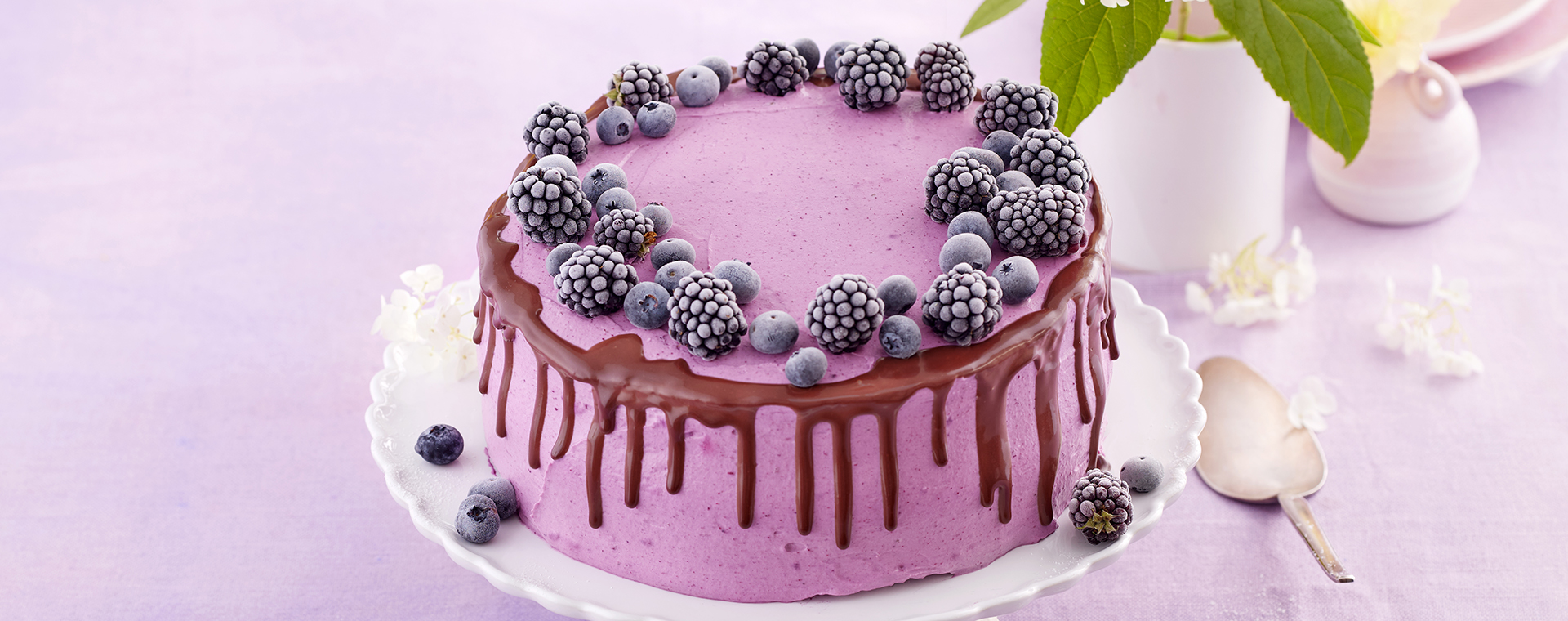 1 25 Beerentorte Mit Schokoladen Drip 1920x760px