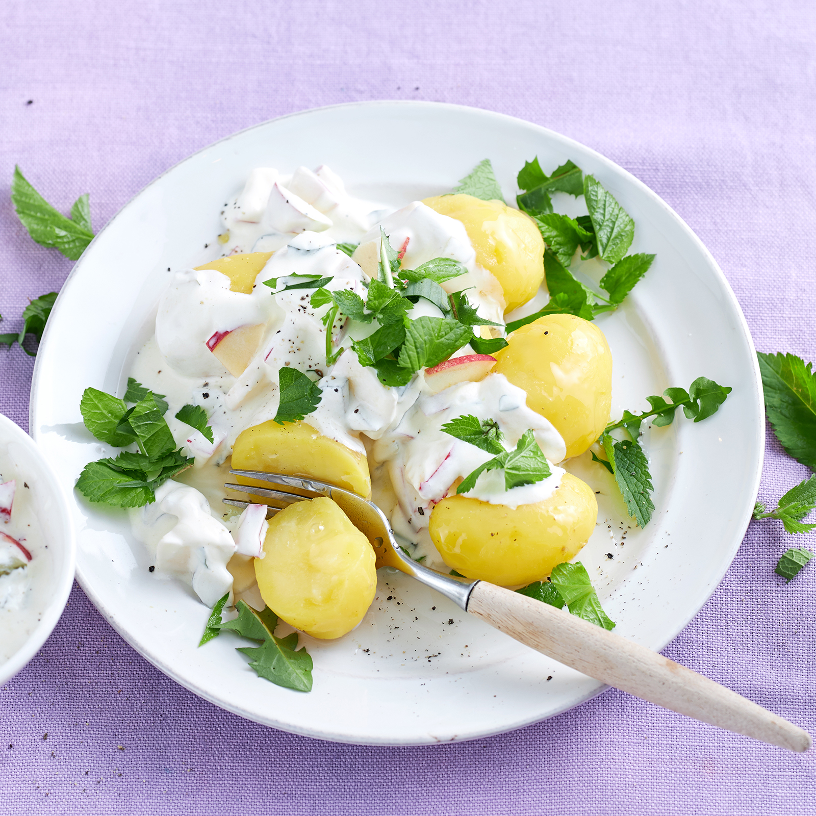 Pellkartoffeln mit pikanter Wildkräutersoße auf einem Teller, garniert mit frischen Kräutern.